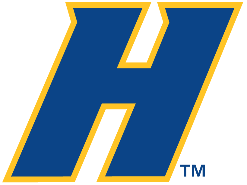 Hofstra Pride 2005-Pres Alternate Logo diy DTF decal sticker